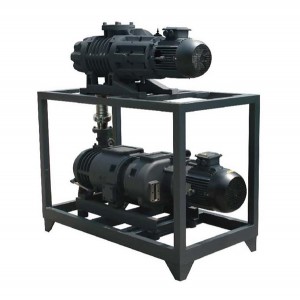 羅茨螺桿真空機(jī)組